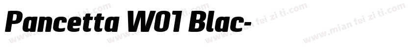 Pancetta W01 Blac字体转换